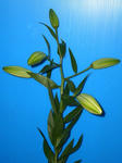 DSCI0297.JPG