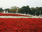 P1010290.JPG
