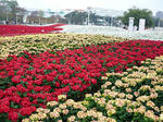 P1010293.JPG