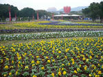 P1010305.JPG