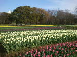 201204122.jpg