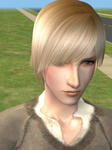 snapshot_985269a7_38526af7.jpg