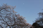 IMG_1070.JPG