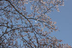IMG_1072.JPG