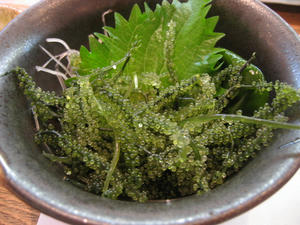 175_7560.JPG