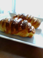 20081115100918.jpg