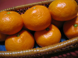 764_6409.JPG