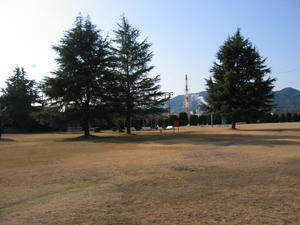 764_6432.JPG