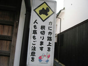 769_6950.JPG