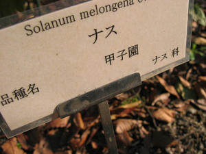 795_9566.JPG
