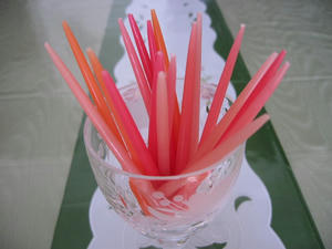 800_0046.JPG