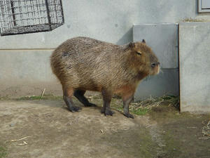 DSC00179.JPG