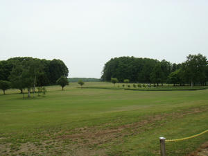 DSC00201.JPG