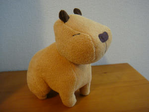 DSC00220.JPG