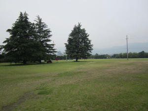 IMG_0209.JPG