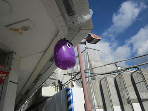 IMG_0917.JPG