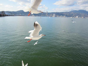 IMG_0944.JPG