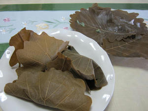 IMG_1768.JPG