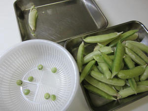 IMG_1776.JPG