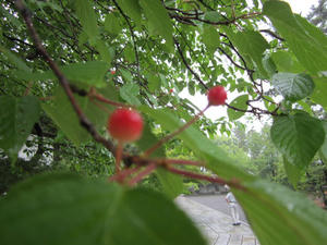 IMG_1976.JPG