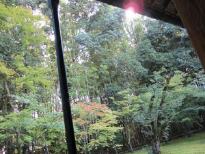 IMG_2693.JPG