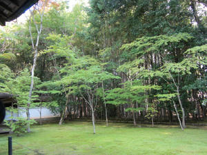 IMG_2695.JPG