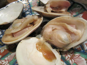 IMG_2839.JPG