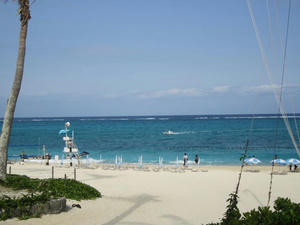 IMG_3851.JPG