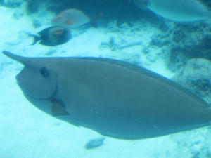 IMG_3866.JPG