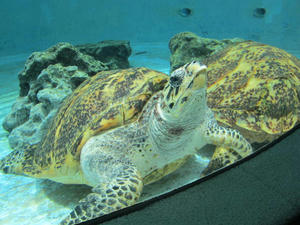 IMG_3885.JPG