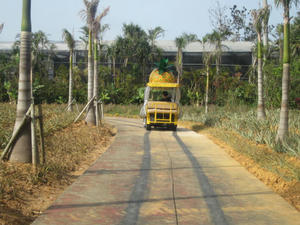 IMG_3904.JPG