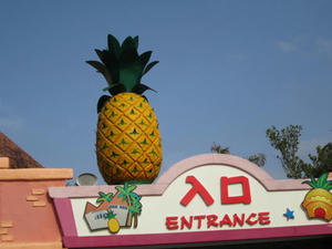 IMG_3905.JPG