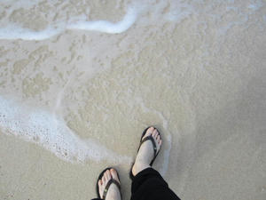 IMG_3949.JPG
