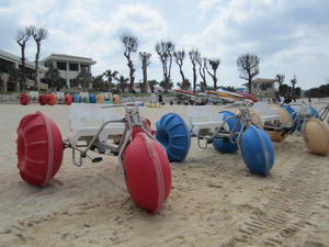 IMG_3966.JPG