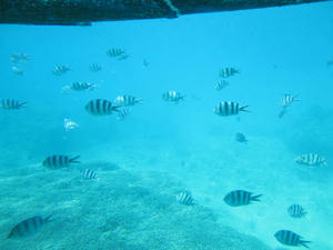 IMG_3974.JPG