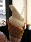 soft_055.JPG