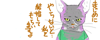 capture002.png