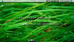 b867747e.jpg