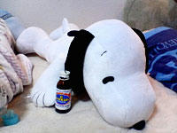 blog_20080514py.jpg