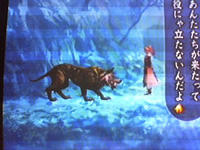 blog_20080618inu.jpg
