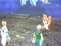blog_20080618kitsune.jpg