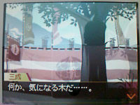 saihai_20081025d.jpg