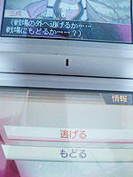 saihai_20081026c.jpg
