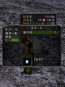 nobu_20081115a.jpg