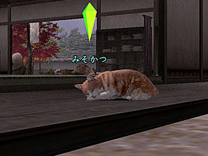 nobu_20090916.jpg