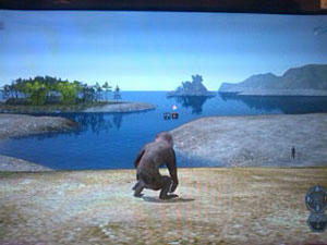 nobu_20110118a.jpg