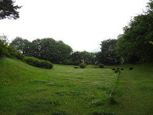 trave20110611_ueda02.jpg