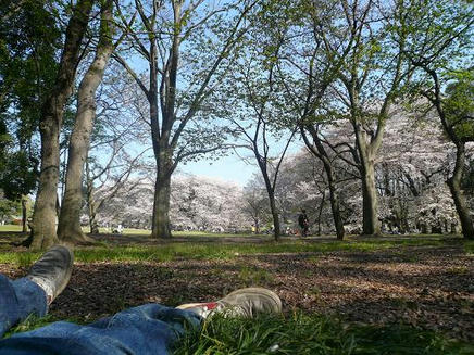 砧公園１７