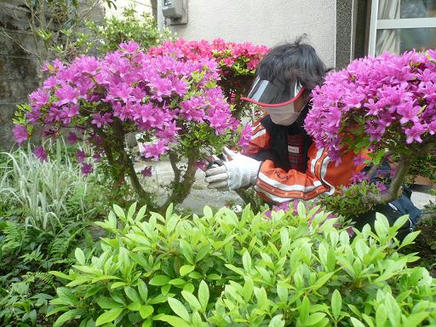 庭１