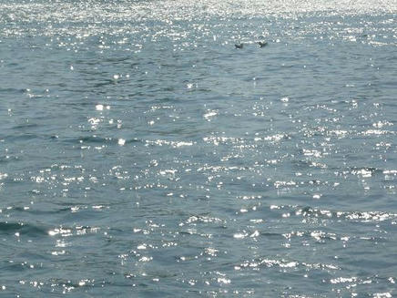 ５．１３出発前の海